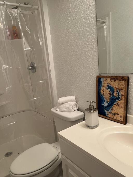 Luxury Suite By Tampa Convention Center & Hospital Екстер'єр фото